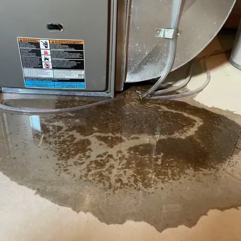 Appliance Leak Cleanup in Rockcastle County, KY